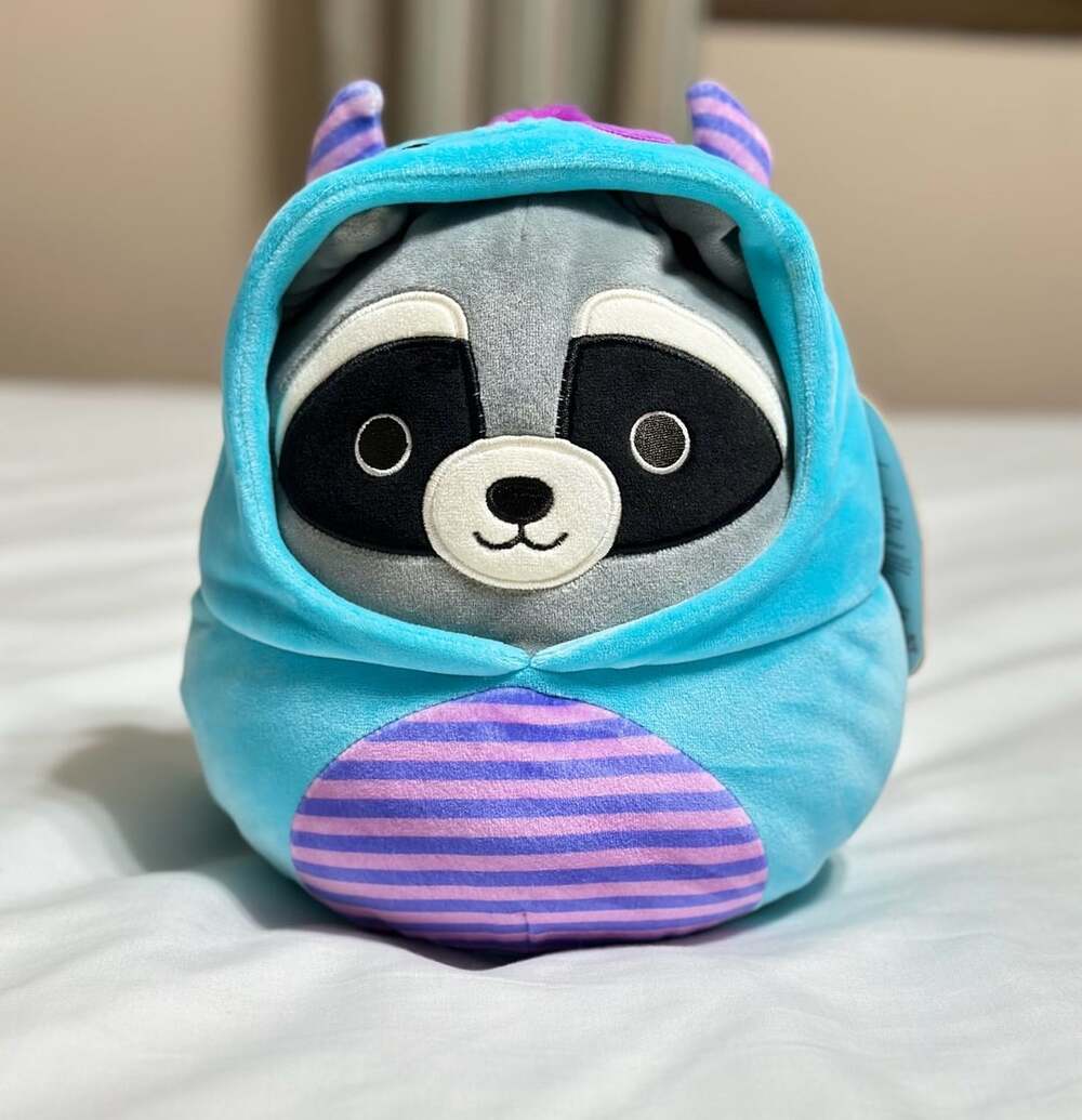 Squishmallows Rocky The Raccoon Morty The Monster Costume Halloween Plush